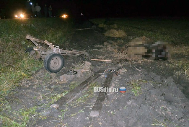 В Башкирии пассажир «Нивы» погиб от столкновения с гужевой повозкой