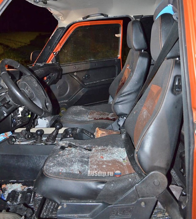В Башкирии пассажир «Нивы» погиб от столкновения с гужевой повозкой