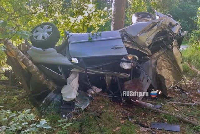 Трое погибли при столкновении автомобиля с деревом во Владимирской области
