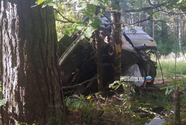 Трое погибли при столкновении автомобиля с деревом во Владимирской области