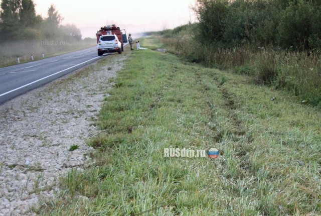 В Кировской области семья попала в смертельное ДТП из-за выбежавшего на дорогу кабана