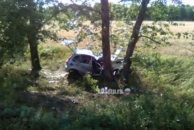 «Лада Калина» врезалась в дерево в Бижбулякском районе