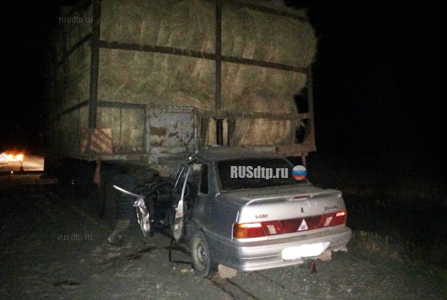 В Соль-Илецком районе водитель «Лады» погиб, столкнувшись с трактором