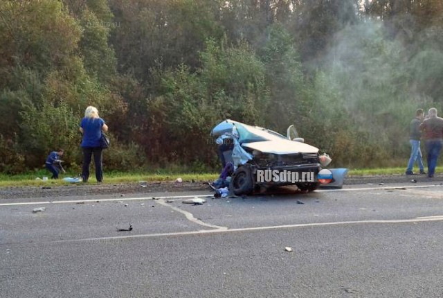 «Фольксваген» разорвало на части в результате ДТП на трассе М-8