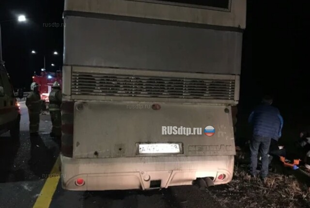 В Воронежской области в ДТП с двумя автобусами погибли 5 человек