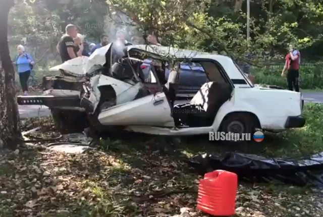 В Туапсинском районе в ДТП погиб 20-летний водитель ВАЗа