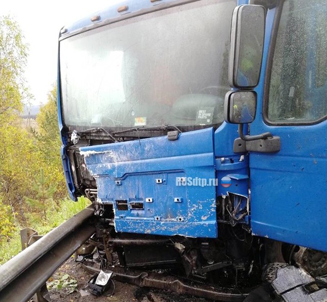 Дальнобойщик совершил смертельное ДТП на трассе М-5 в Челябинской области