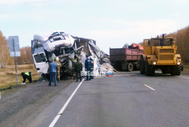 На трассе Челябинск-Новосибирск в ДТП с участием большегрузов погибли два человека