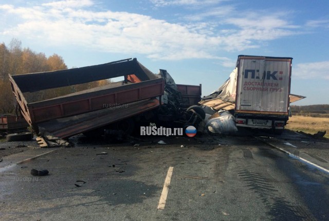 На трассе Челябинск-Новосибирск в ДТП с участием большегрузов погибли два человека