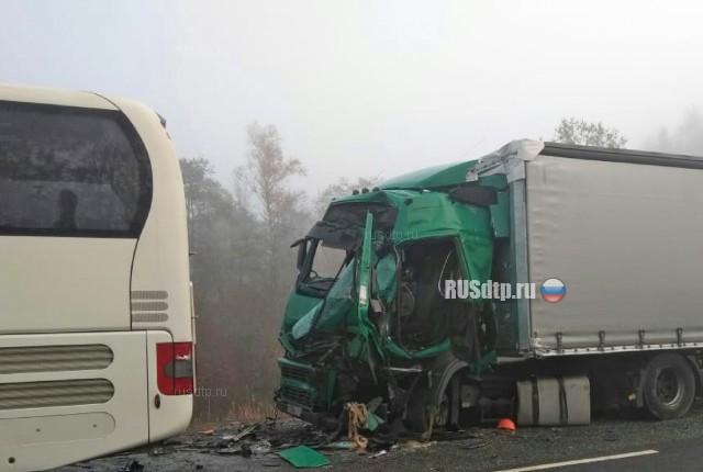 12 человек пострадали в массовом ДТП на трассе М-9 «Балтия» в Тверской области