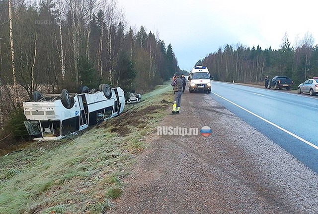 На трассе «Скандинавия» в ДТП с автобусом пострадали 24 человека