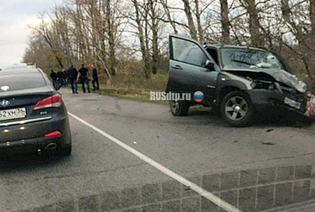 Три человека погибли в ДТП на автодороге Воронеж - Нововоронеж
