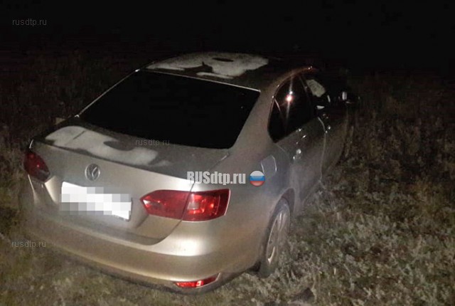 В Башкирии молодой водитель насмерть сбил ожидавших ДПС водителей
