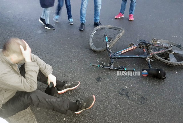 На Дворцовой площади в Петербурге карета с лошадьми столкнулась с велосипедом
