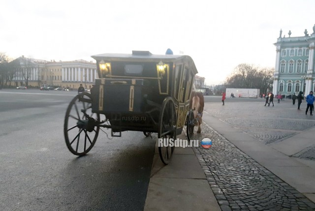 На Дворцовой площади в Петербурге карета с лошадьми столкнулась с велосипедом