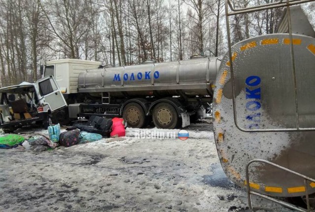 Пять человек погибли под встречным молоковозом в Гомельской области