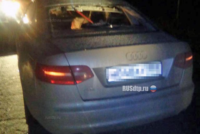 В Пермском крае 24-летний лихач на Audi насмерть сбил троих пешеходов