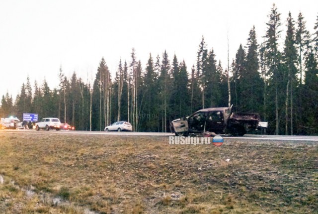 Три человека погибли в ДТП на трассе М-8 в Архангельской области