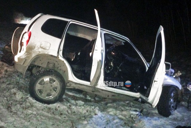 Под Тольятти семья попала в смертельное ДТП по вине лихача на «Форде»