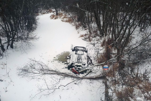 В Тверской области две женщины погибли, захлебнувшись в придорожном ручье