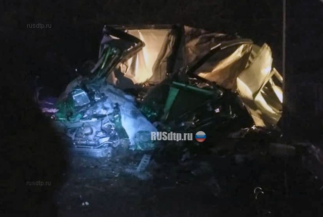 В Башкирии в ДТП с участием грузовиков погиб водитель «Газели»