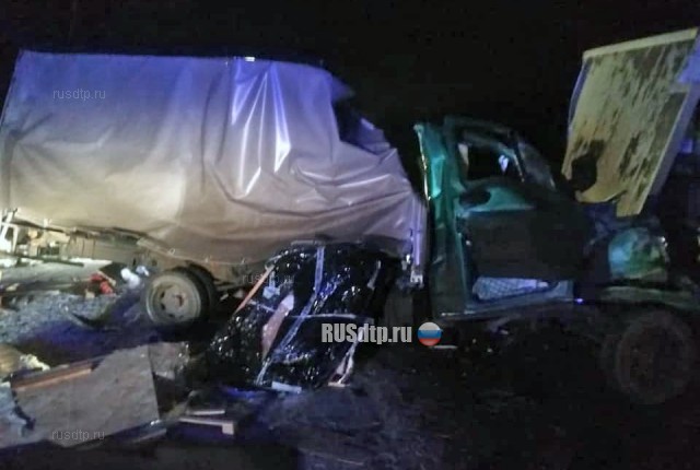 В Башкирии в ДТП с участием грузовиков погиб водитель «Газели»