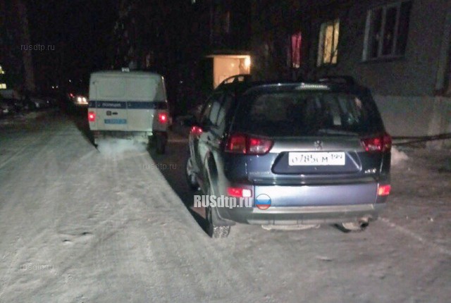 Под Новосибирском мертвецки пьяный экс-полицейский сбил 4-летнюю девочку и скрылся. ВИДЕО
