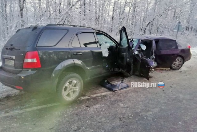 Женщина и ребенок погибли в ДТП в Нижегородской области