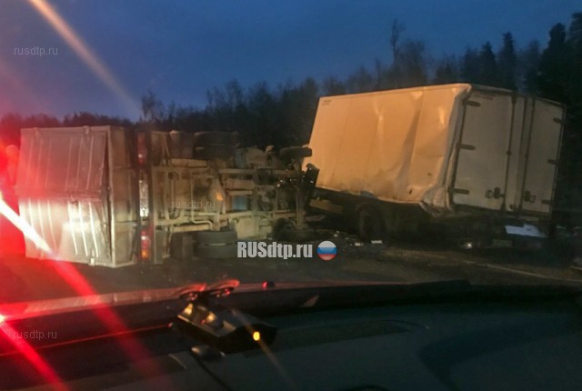 12 автомобилей столкнулись на КАД в Петербурге. ВИДЕО
