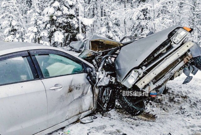 Четверо погибли в ДТП на трассе «Кола» в Ленинградской области