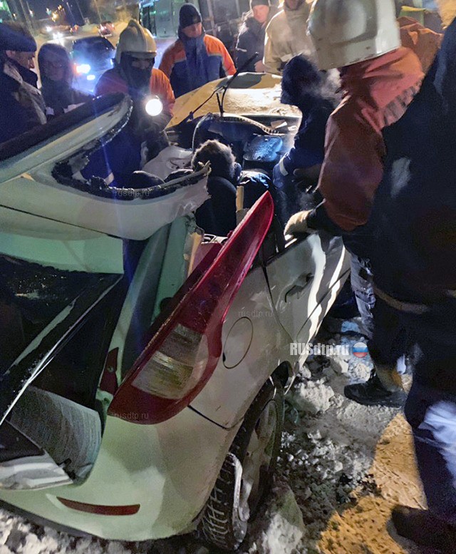 В Кургане водитель погубил себя и пассажира, спасая перебегавших дорогу детей
