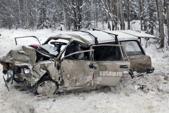 Мужчина и две его дочери погибли в ДТП в Кировской области