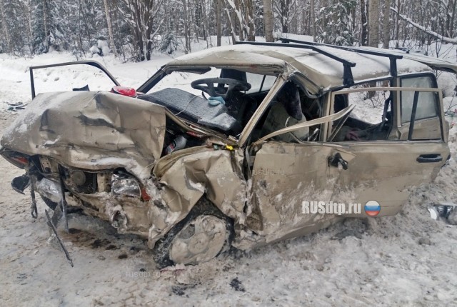 Мужчина и две его дочери погибли в ДТП в Кировской области