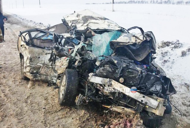 Водитель и пассажир «Тойоты» погибли под встречной фурой на трассе М-5