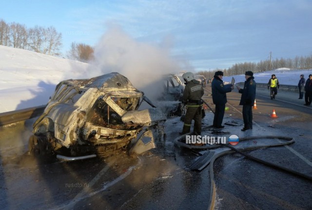 7 человек погибли в огненном ДТП на трассе «Курск — Борисоглебск»