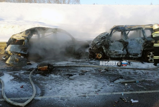 7 человек погибли в огненном ДТП на трассе «Курск — Борисоглебск»