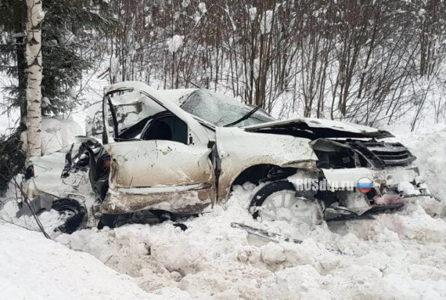 Женщина и 7-летний ребенок погибли в ДТП на трассе Пермь-Березники