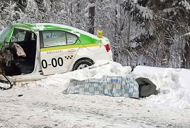 Таксист погиб, врезавшись в автобус во Всеволожском районе