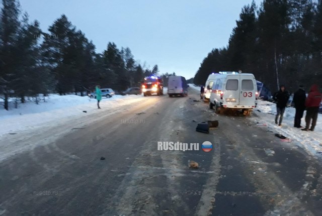 Женщина и ребенок погибли в ДТП на трассе Нижний Новгород - Саратов