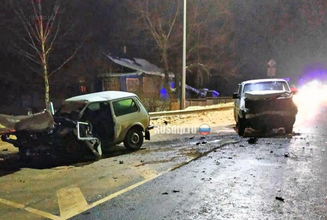 24-летний пассажир «Нивы» погиб в ДТП на трассе Орел-Тамбов