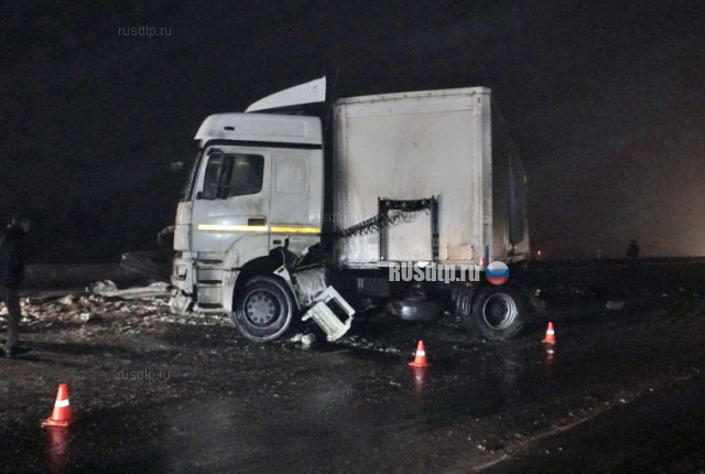 Во Владимирской области в ДТП с участием грузовика и микроавтобуса погибли 3 человека