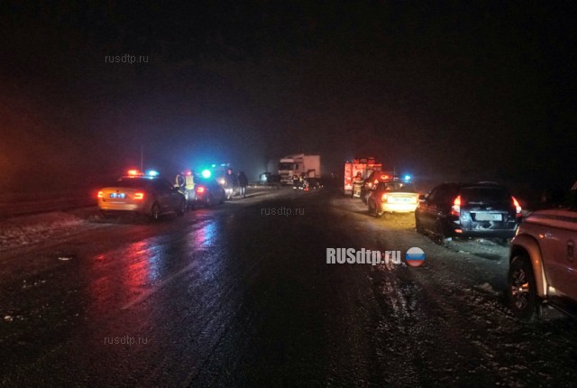 Во Владимирской области в ДТП с участием грузовика и микроавтобуса погибли 3 человека