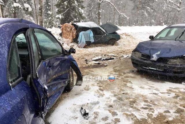 Двое погибли в ДТП на автодороге «Иваново — Родники»