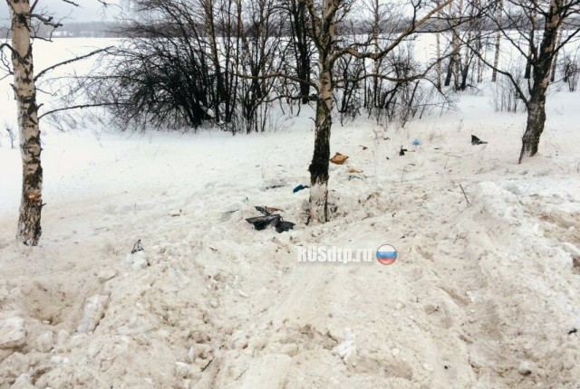 «Шевроле» врезался в дерево в Мордовии