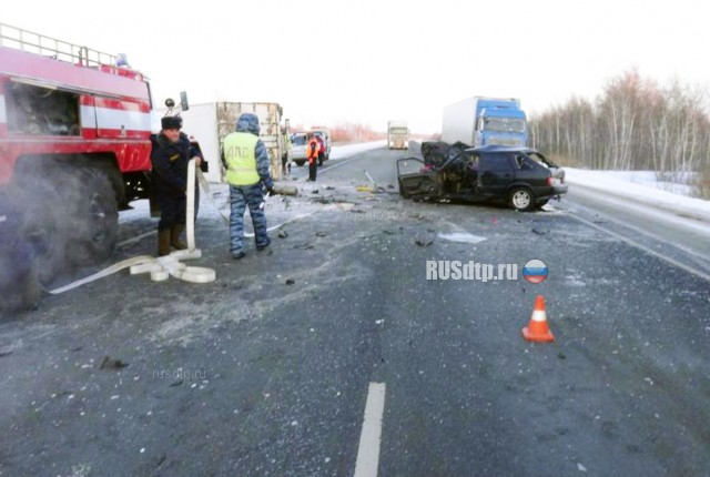 Двое погибли в ДТП на трассе «Иртыш» в Варгашинском районе