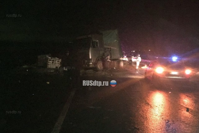 Пассажир такси погиб в ДТП на трассе «М-7» в Судогодском районе