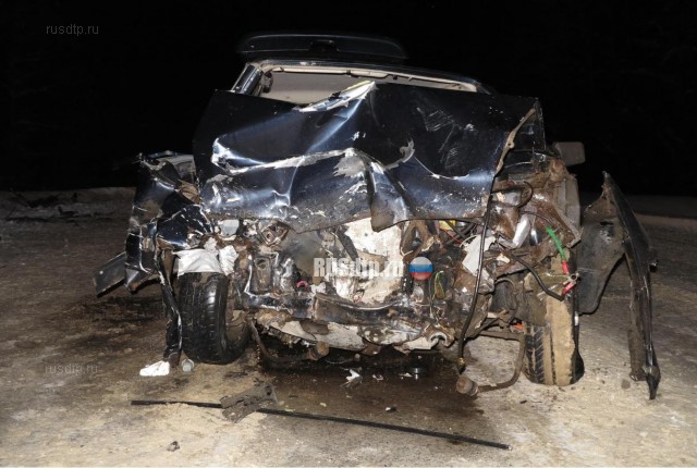 18-летняя пассажирка «Нексии» погибла в ДТП в Прикамье