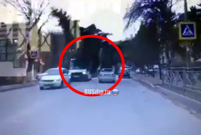 В Кисловодске дерево упало на проезжающий автобус. ВИДЕО