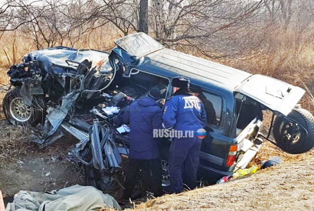 Пожилые супруги погибли в ДТП на трассе Хабаровск – Владивосток