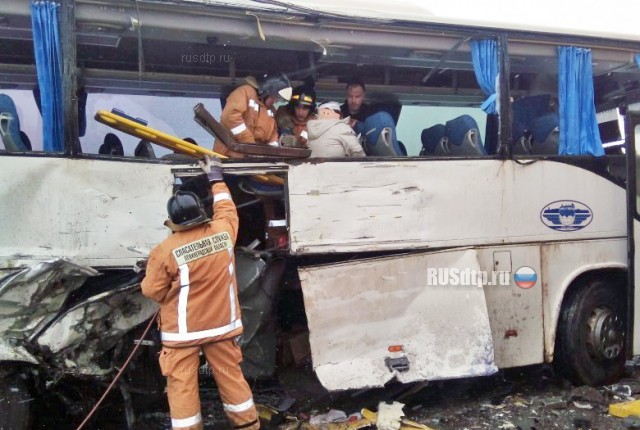 Еще один автобус «Тихвин — Санкт-Петербург» попал в ДТП в Ленобласти